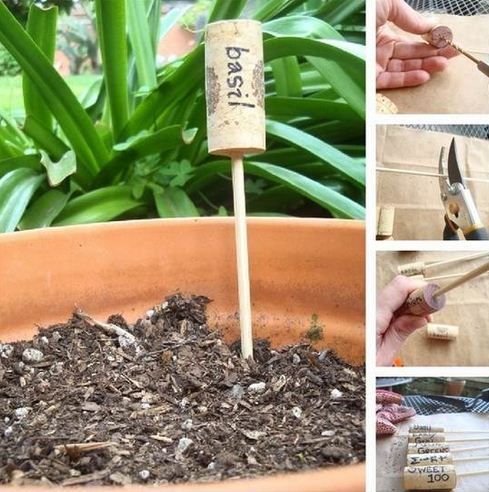 Inexpensive Plant Identifier - Do-It-Yourself Home Decoration